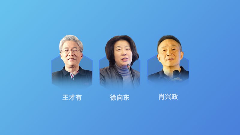 运动损伤康复训练师：揭秘专业康复之路